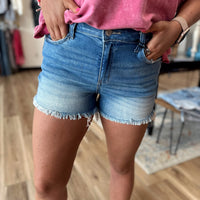 Haven Mid Rise Denim Shorts +