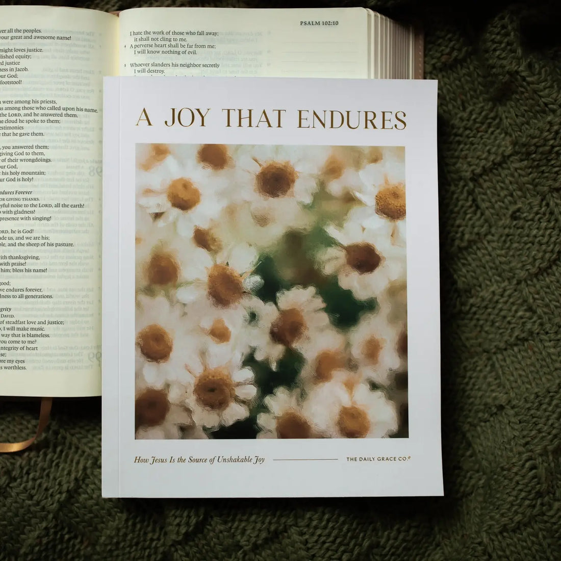 A Joy That Endures Bible Study