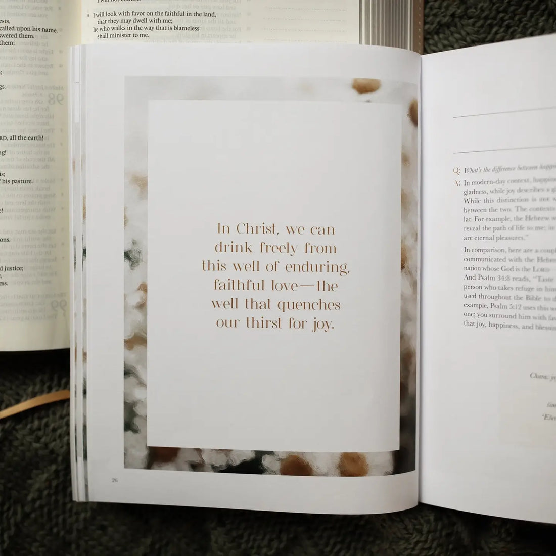 A Joy That Endures Bible Study