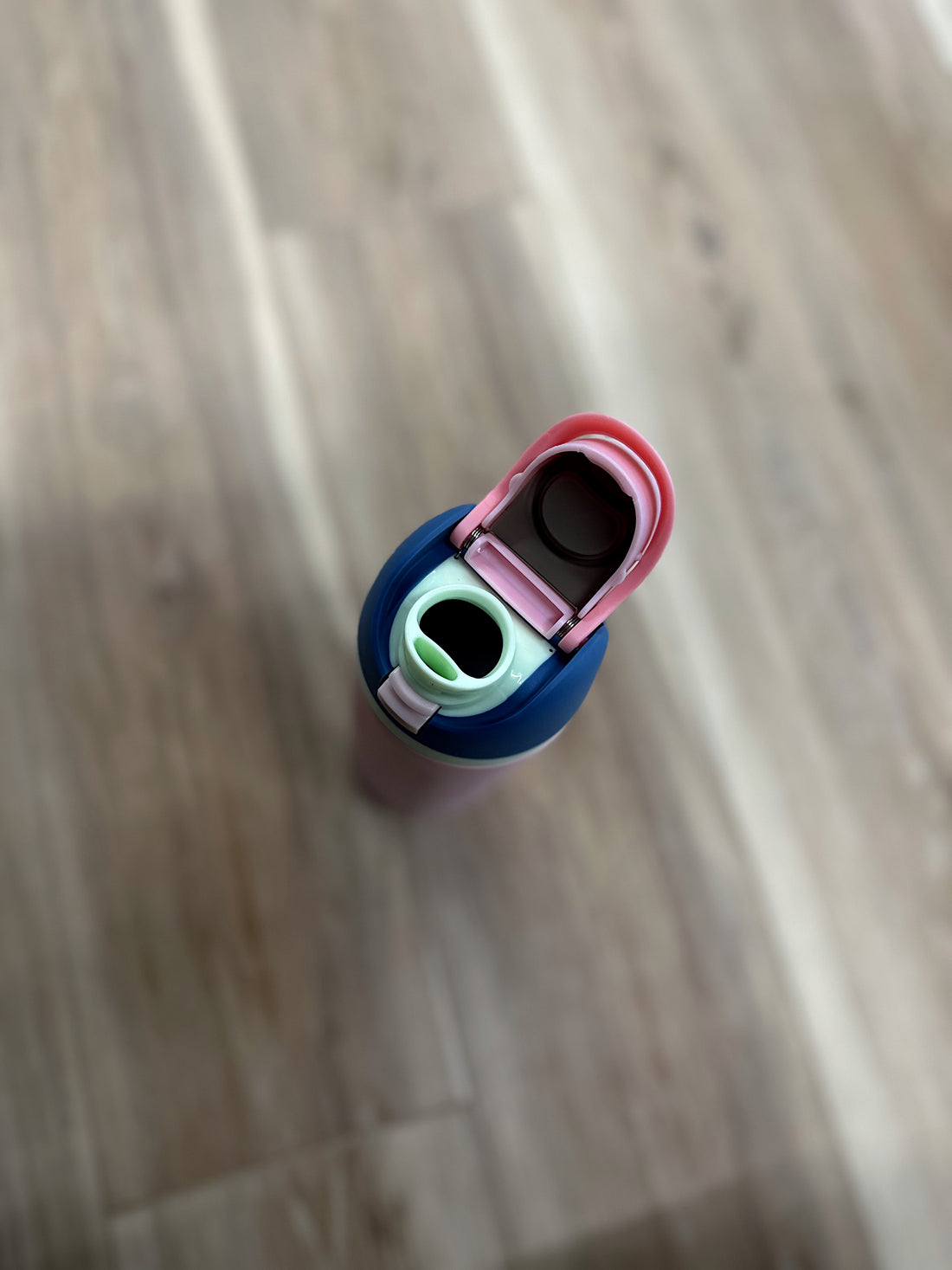 24 oz. Stainless Steel Insulated Water Bottle