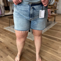 Ally Curvy  Distressed Denim Shorts