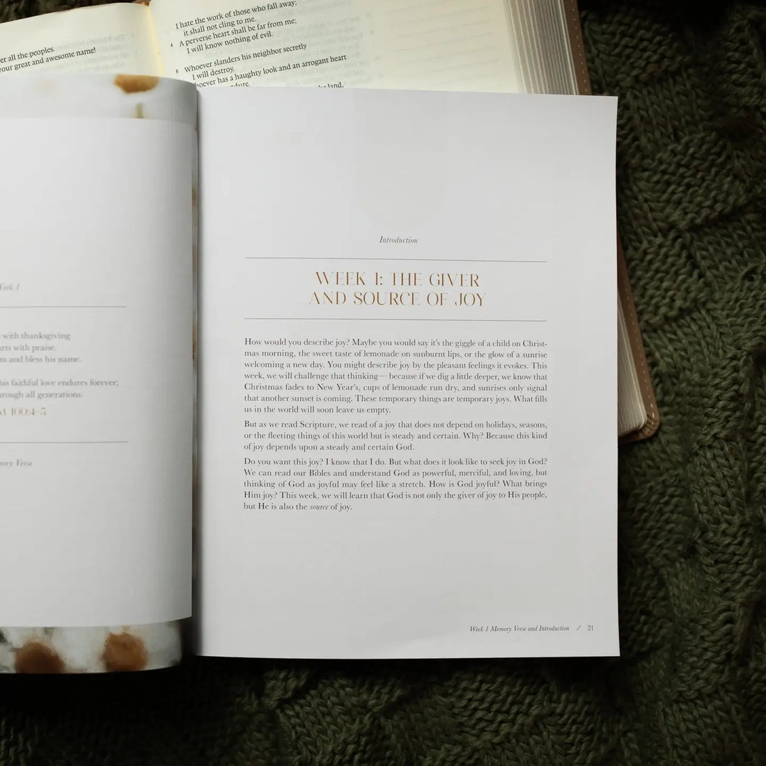 A Joy That Endures Bible Study